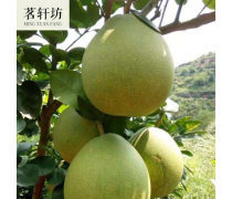 贛州柚子產(chǎn)品庫——優(yōu)質(zhì)柚子批發(fā)，盡在江西產(chǎn)品庫