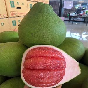 柚子批發(fā)市場(chǎng)指南 渠道、價(jià)格與采購(gòu)策略